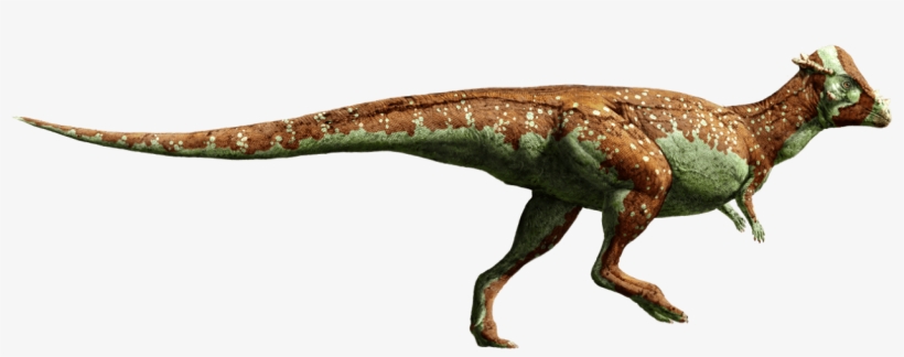 Pachycephalosaurus - Fallen Kingdom Stegosaurus Jurassic World, transparent png download