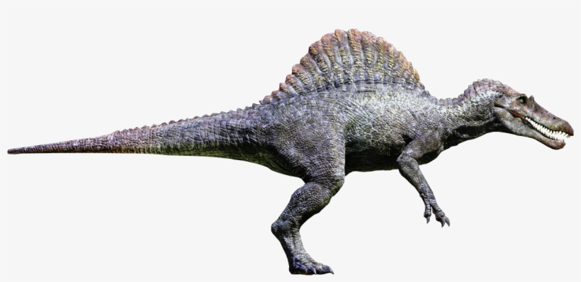 Vgotmzc - Jurassic World Spinosaurus, transparent png download