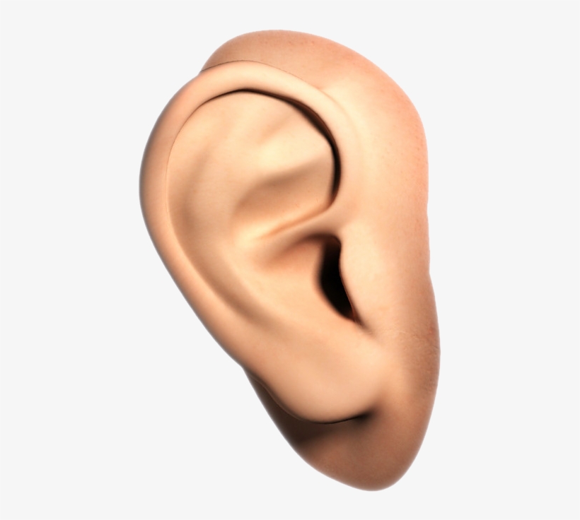 Human Ear Png, transparent png download