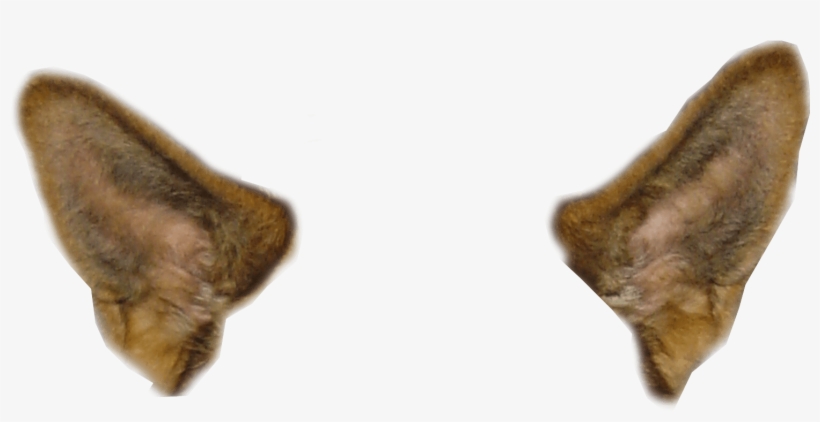 Snapchat Filter Dog Ears - Dog Ear Clip Art, transparent png download