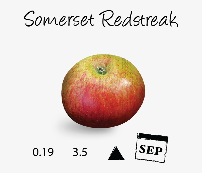 Somerset-redstreak - Posterazzi Dreams Poster Print By Taylor Greene (12, transparent png download