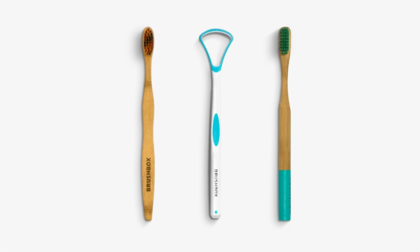 Straight - 2018, transparent png download