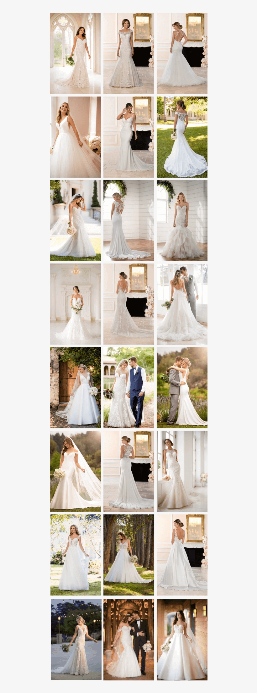 Diane Honeyman, transparent png download