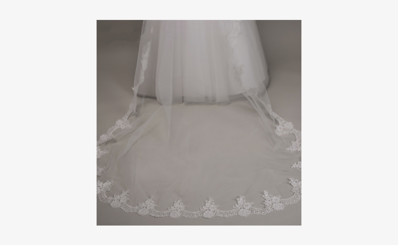 Classic Embroidery Lace Soft Tulle Cathedral Length - Veil, transparent png download
