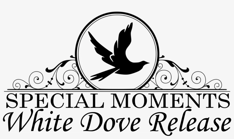 Love My Flute Pillow Case, transparent png download