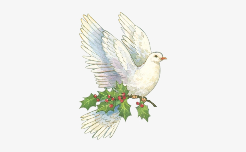 Download White Dove Clipart Christmas Christmas Dove Clip Art