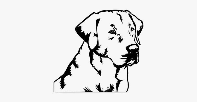 Stencil Muro Retriever Tenstickers Silhouette - Labrador Stencil, transparent png download