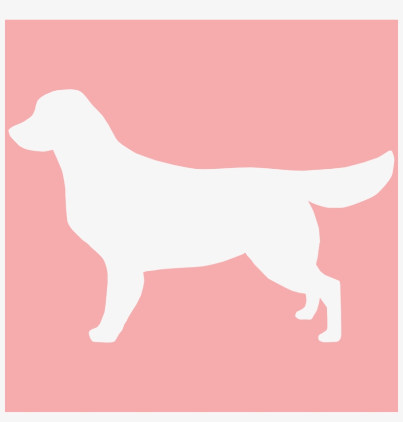 Clipart Resolution 3248*3248 - Labrador Retriever, transparent png download
