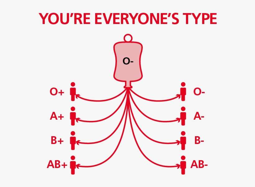 Although About 8% Of The Population Has O Negative - Diagram, transparent png download
