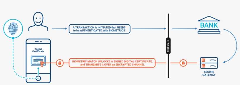 Biometric Enablement - Diagram, transparent png download