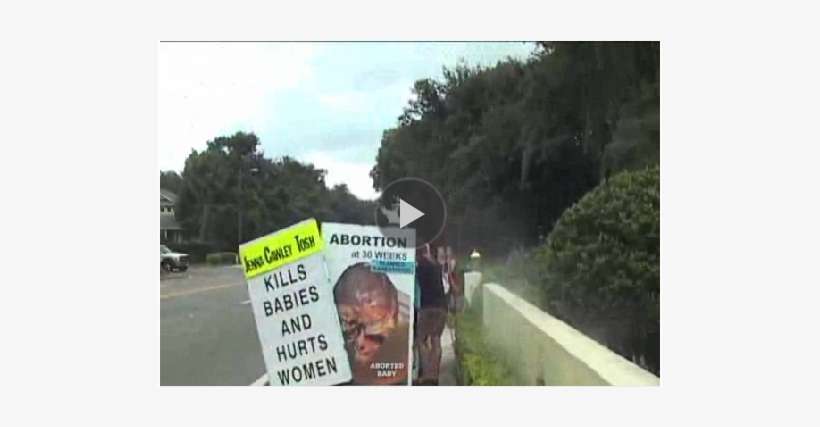 News Photo By - Tree, transparent png download