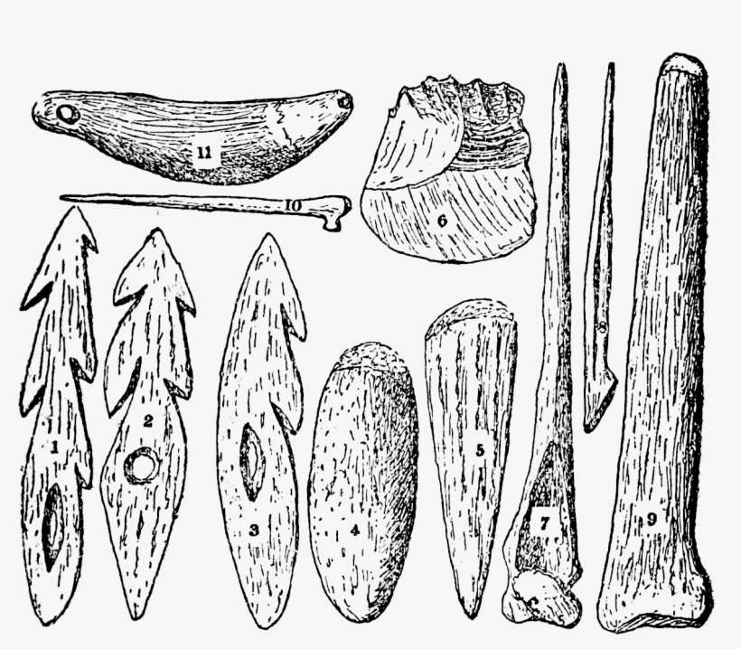 File Britain Fig Png - Sketch, transparent png download