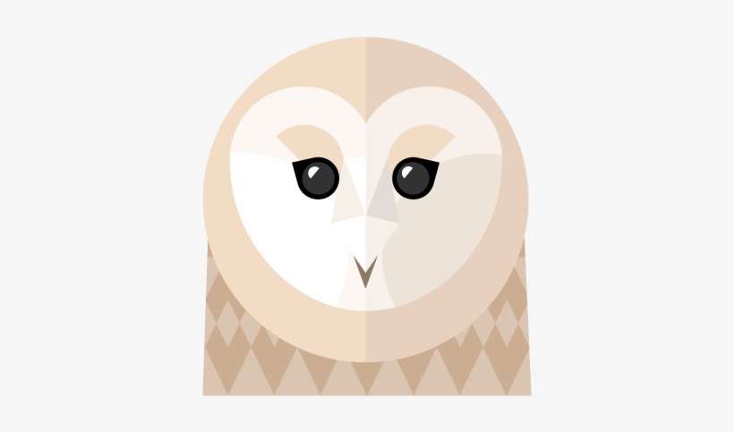 Barn Owl, transparent png download