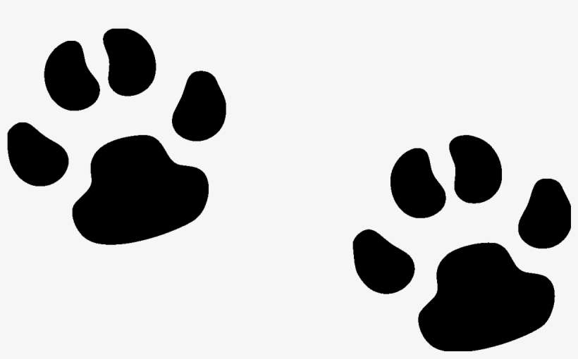 Dog Paw Prints File Size, transparent png download
