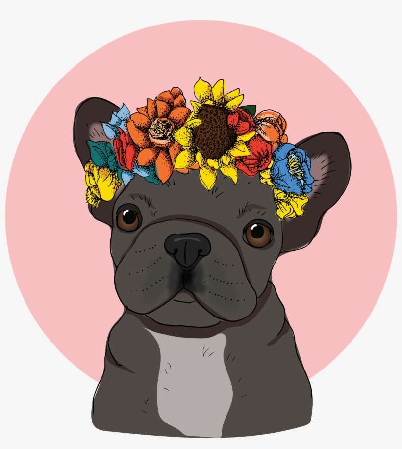 #french #bulldog With #floral #crown - Pug, transparent png download