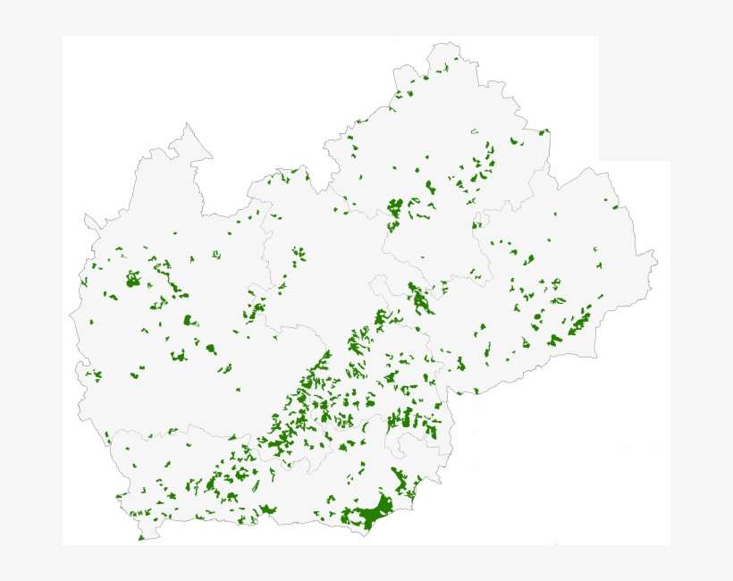 Barn Owl Tyto Alba - Beds Herts And Bucks, transparent png download
