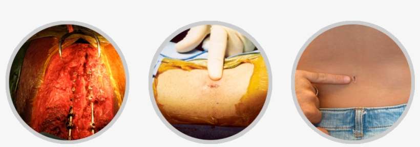 Mis-comp - 40 Off, transparent png download