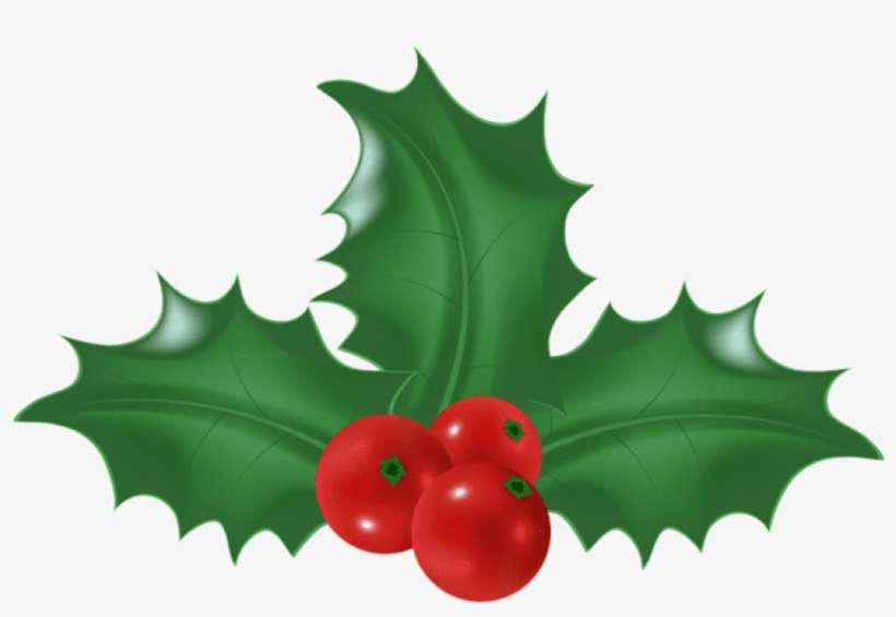 Free Png Holly Mistletoe Png - Illustration, transparent png download