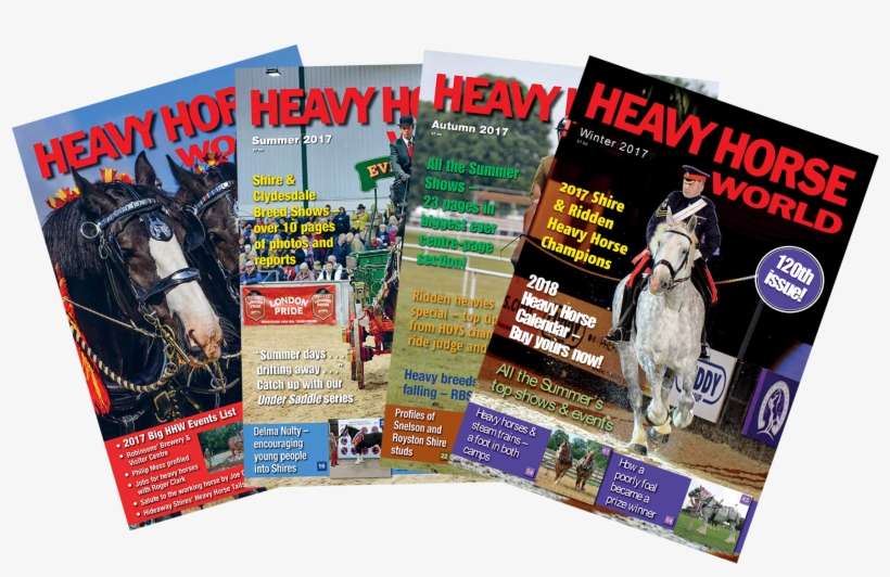 Magazine-covers - Magazine, transparent png download