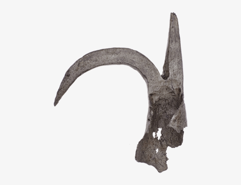 Boathook - Deer, transparent png download