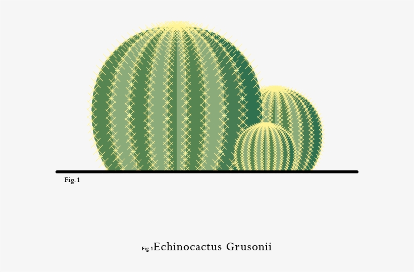 Portrayed In Soft Pastel Colors With Almost Geometrical - Prickly Pear, transparent png download