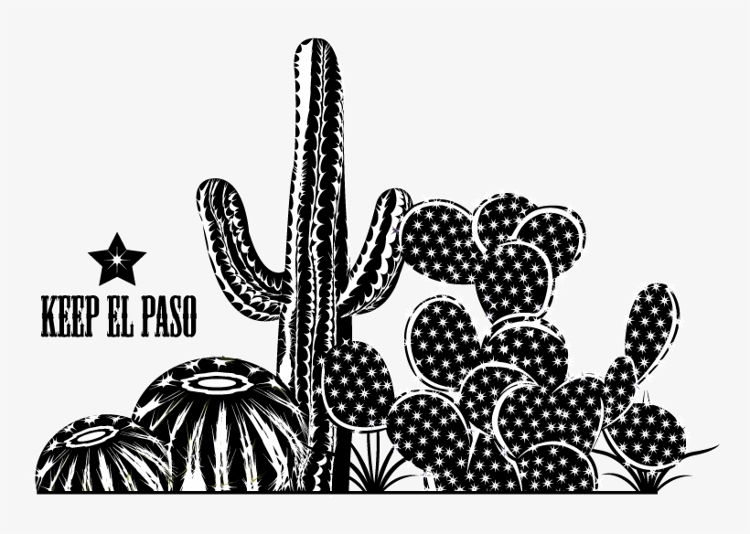 Bold, Playful Vector Design For Drennan Enterprises - Hedgehog Cactus, transparent png download