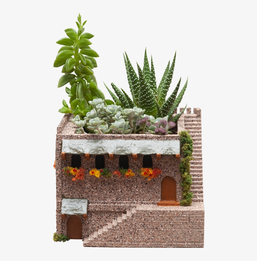 Mini Succulent Planter Psd - Flowerpot, transparent png download