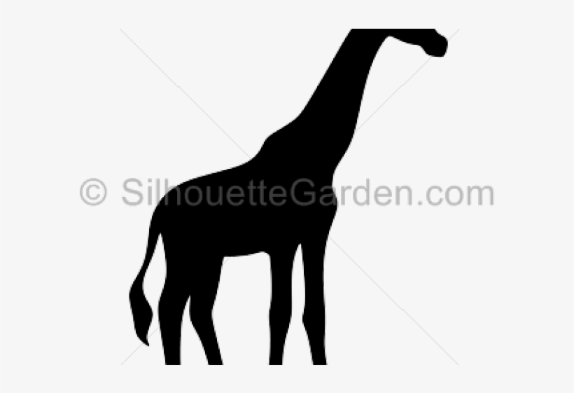 Silhouette Clipart Giraffe - Fsc, transparent png download