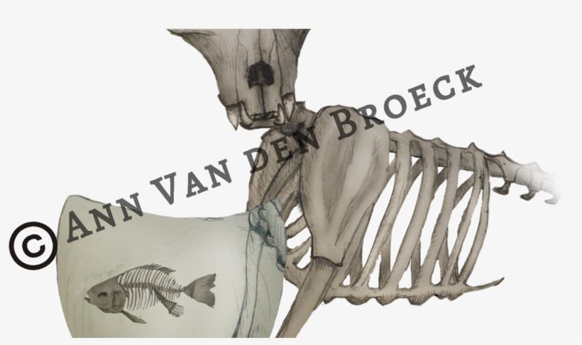 Skeleton, transparent png download