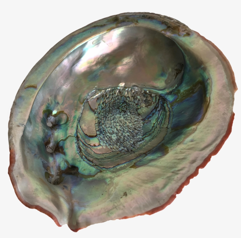 2946 X 2764 1 - Circle, transparent png download