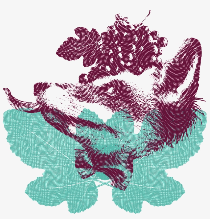 Lama La Uva Blog, Agenda Y Redes Sociales - Illustration, transparent png download