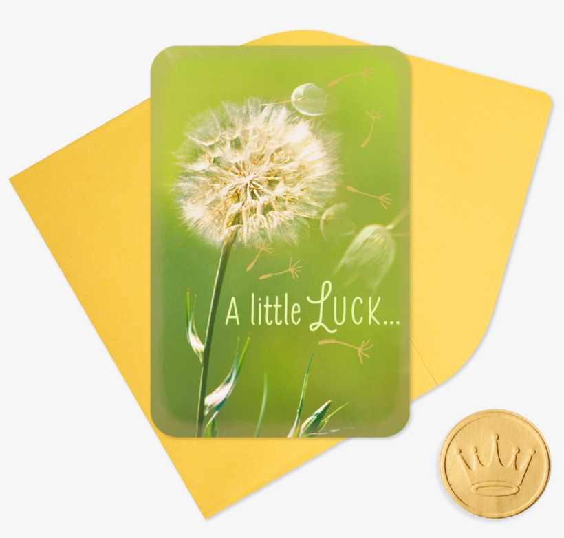 25" Mini Dandelion Wishes Good Luck - Dandelion, transparent png download