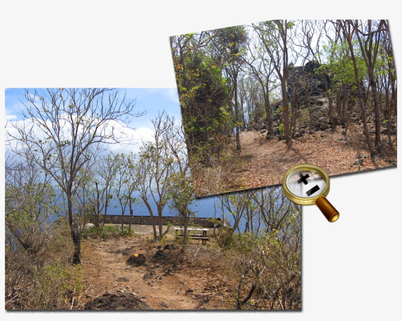 Batterie Caroline - Grass, transparent png download