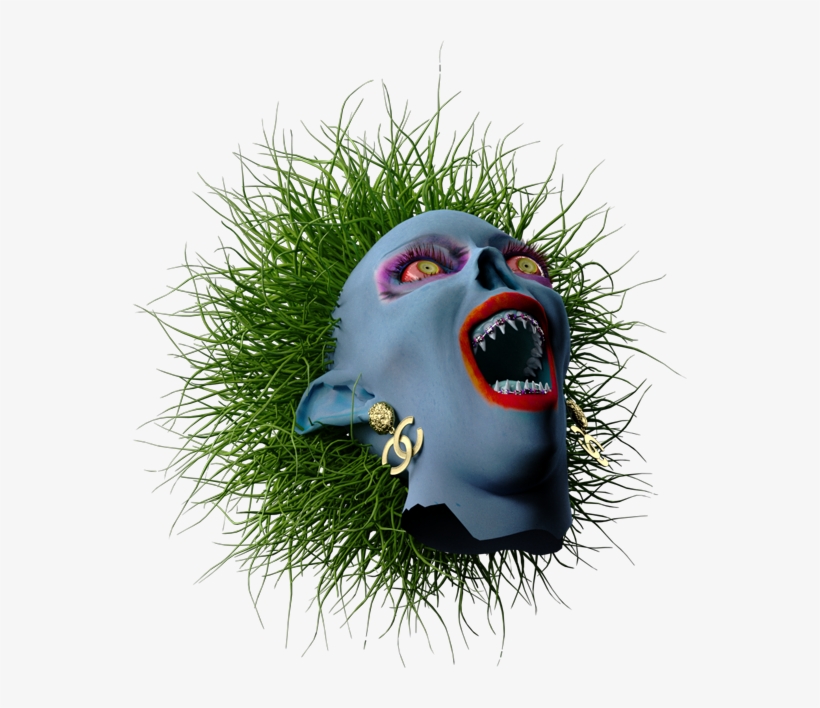 Grass, transparent png download