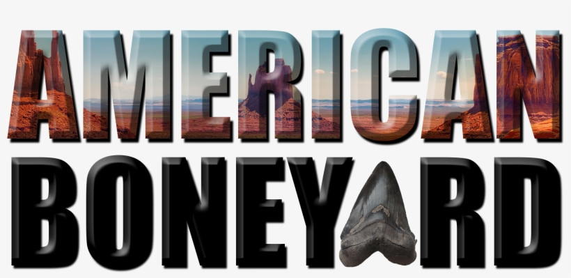 American Boneyard American Boneyard - Book Cover, transparent png download