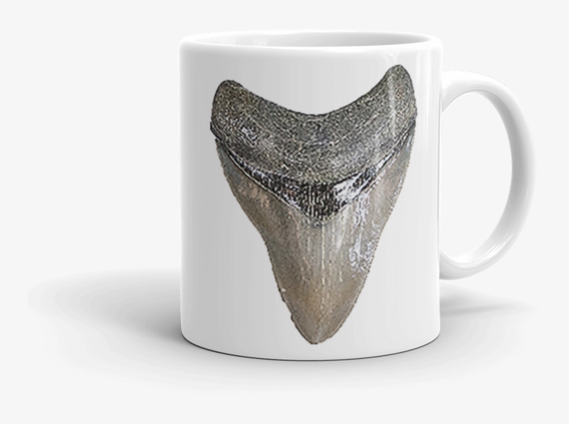 Megaladon Shark Tooth Mug - Mug, transparent png download