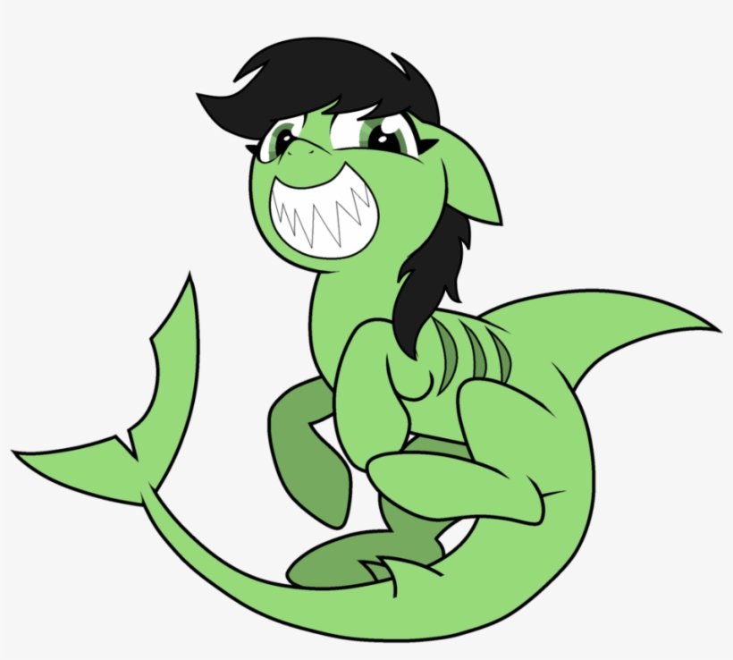 Comments - Shark Pony, transparent png download