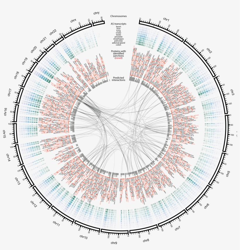 Lab Receives 5-year R01 Funding - Circle, transparent png download