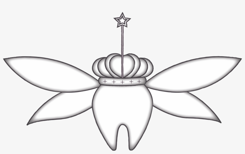 For The Toothfairy - Still Life Photography, transparent png download