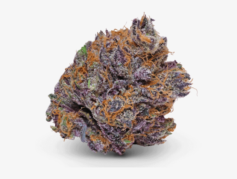 Starflight Guava Medical Marijuana Strain - Star Flight Guava, transparent png download