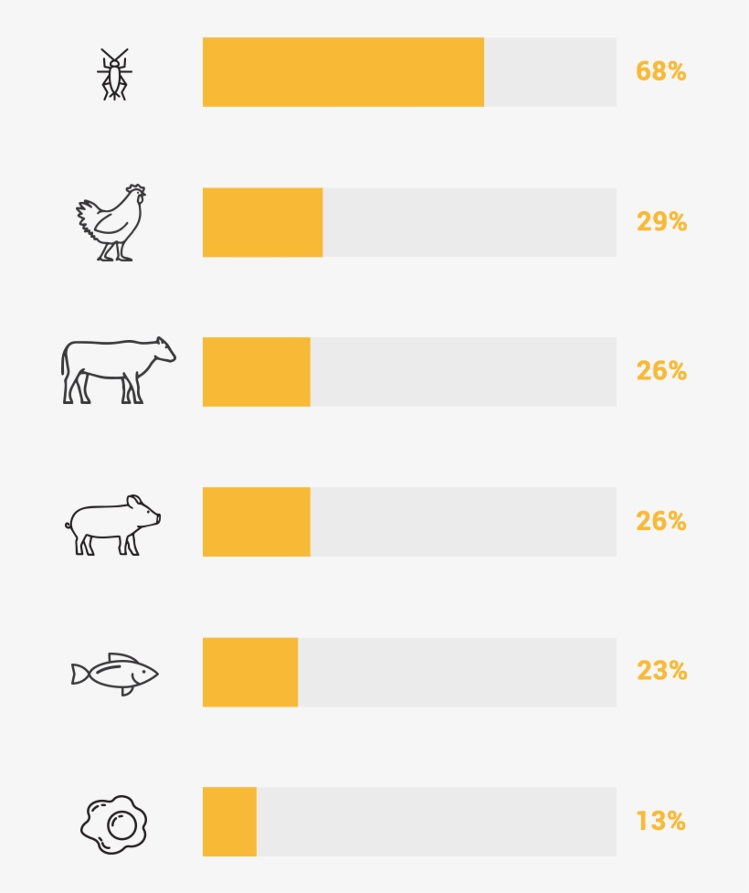 Crickets Vs Livestock Protein Infographic - Illustration, transparent png download