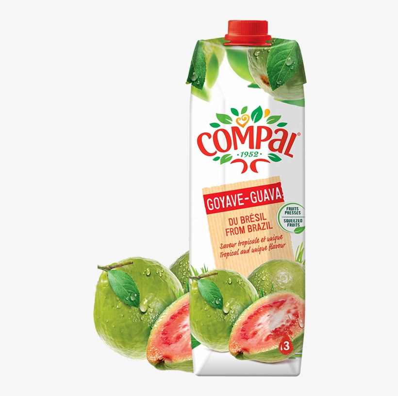 < Back - Compal Multi Fruits, transparent png download