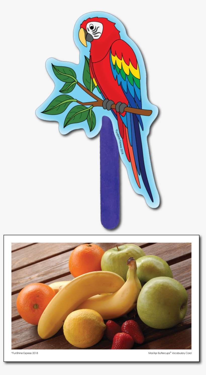 Meet Madison Macaw - Apricot, transparent png download