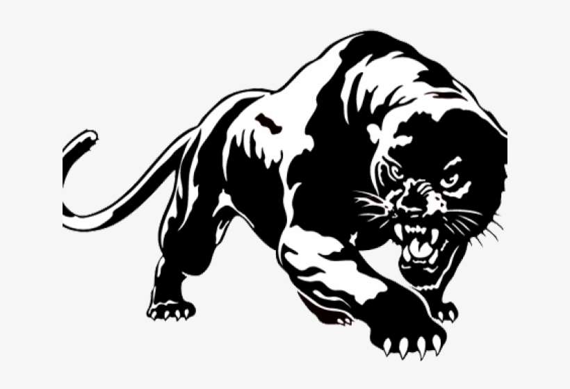 Original - Black And White Panther, transparent png download