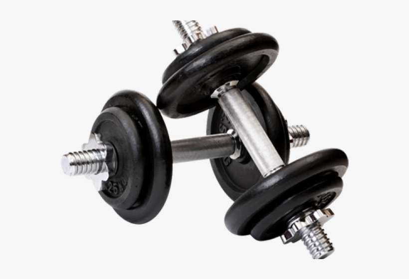 Weight Gym Png, transparent png download