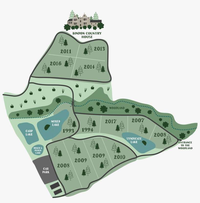 Tree Plantations - Christmas Tree, transparent png download