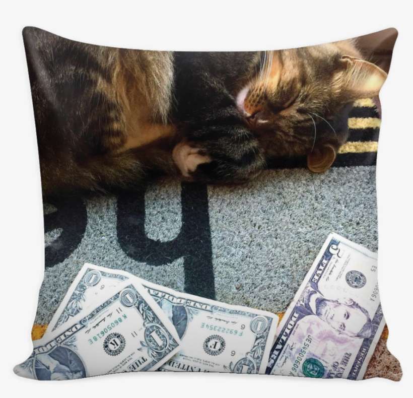 "dreaming Of Money" Pillow Cover - 1 Us Dollar, transparent png download