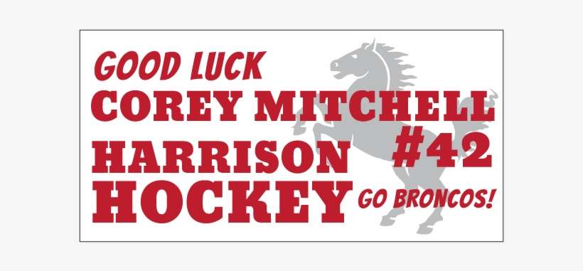 Horse, transparent png download