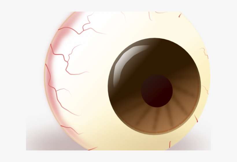 Brown Eyes Clipart Vector - Funny Eyeball Clip Art, transparent png download