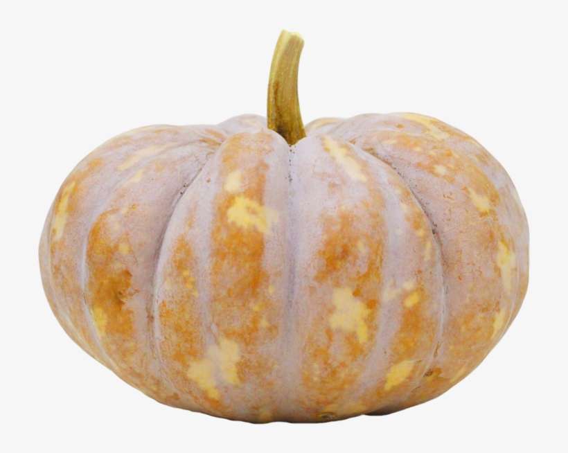 Pumpkin, transparent png download